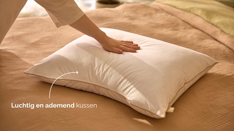 Hoofdkussen B Bright Natural Kapok