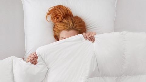 Dekbed Duvet Doré Platinum 100% dons 4-seizoenen