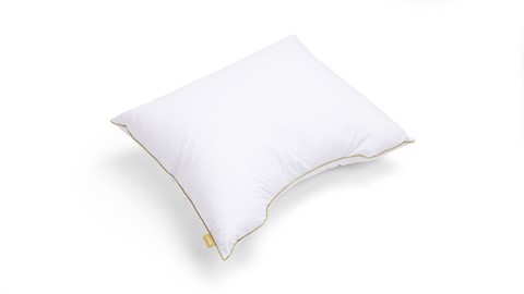 Hoofdkussen B Bright Natural Bamboo