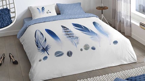 dbo_muller_feathers_blauw_sfeer