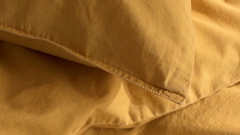 dbo_arli_beat_gold_detail