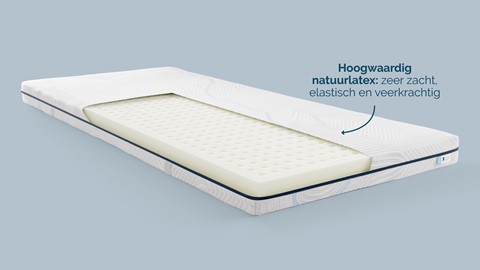 B Bright Platinum splittopper Talalay Latex