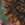 8719931684563_kleur_1