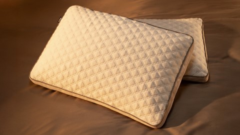 Hoofdkussen Prestige Flow