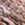 8715944800662_kleur_1