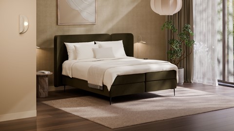 Boxspring Mesa, forest
