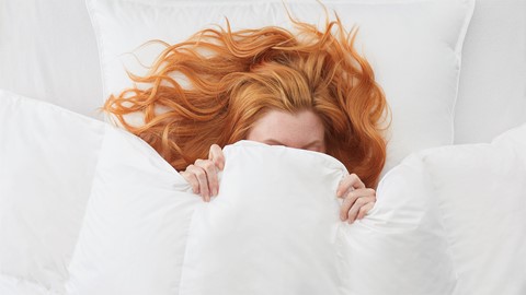 Dekbed Duvet Doré Platinum Plus 100% dons winter