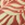8720512249347_kleur_1