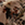 8715944832311_kleur_1