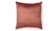 sk_essenza_filou_shell_brown_kaal1