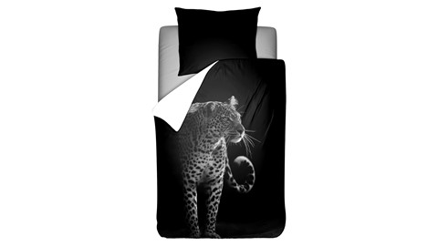 dbo_ambianz_zwartwit_panter_1p_rvv_topshot