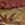 8719931696542_kleur_1