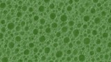 Een close-up van een groene spons