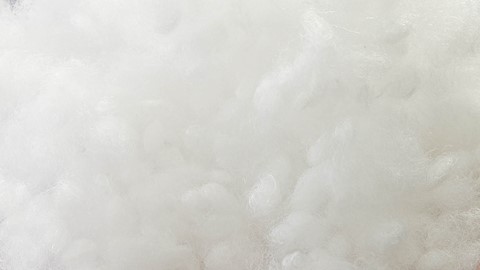 Een close-up van een wit pluizig object