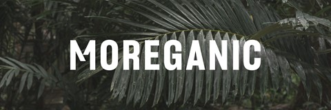 Een close-up van een blad