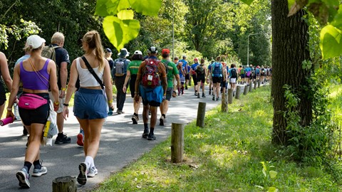 Wandelaars bij Nijmeegse 4Daagse