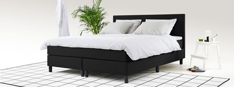 een bed met een plant op de achtergrond