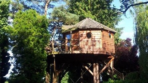 Een houten structuur in het bos