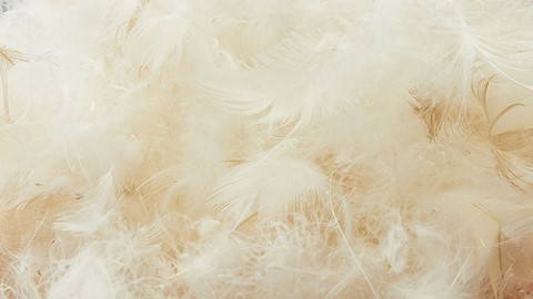 Een close-up van witte veren