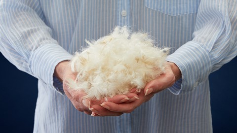 een persoon die een stapel veren vasthoudt