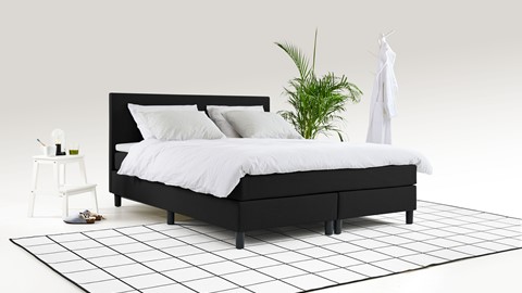 een bed met een plant op de achtergrond