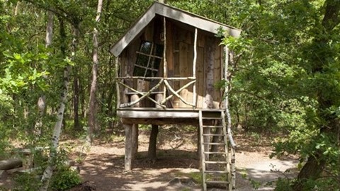 Een houten huis in het bos