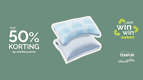 een blauw-wit kussen