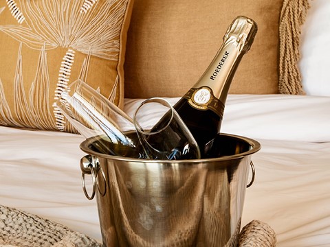 Een fles champagne in een emmer