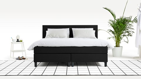 een bed met een plant op de achtergrond