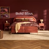 een bed met rood beddengoed en een tapijt in een kamer met kunst