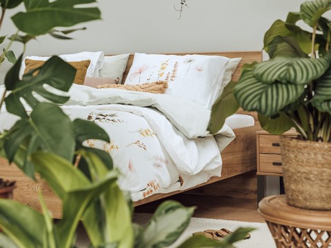 Planten in je slaapkamer
