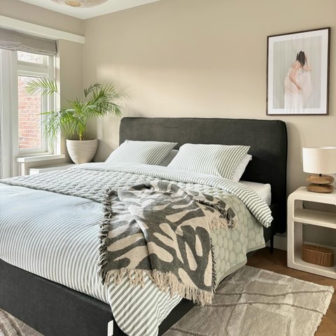 een bed met een plant in een kamer